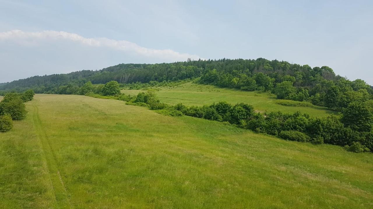 Jula - Apartamenty W Kudowie-Zdroj Kudowa-Zdrój Exterior foto